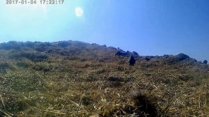 Клип  Чудо любовь