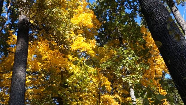 Лидия Аркадьевна смотреть онлайн