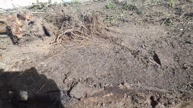 Грядки высокие смотреть онлайн