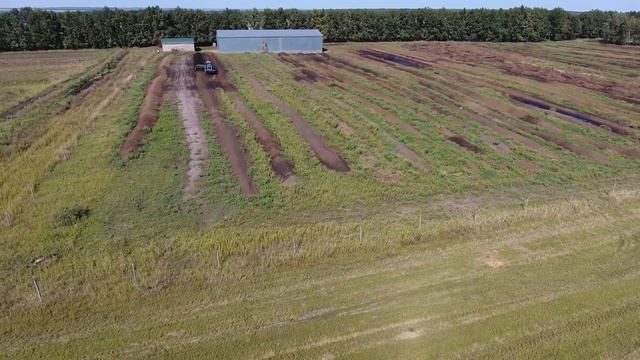 Производство удобрений Биофлорекс смотреть онлайн