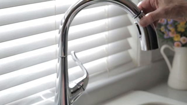 Robinet d’évier Peerless Linden – Témoignage de Randy смотреть онлайн