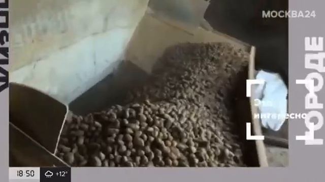 VID 20220906 104557 986 смотреть онлайн