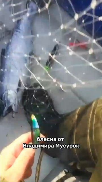 Спасибо за отчёт 😎👍