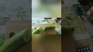 Обзор на огурец Китайский змей