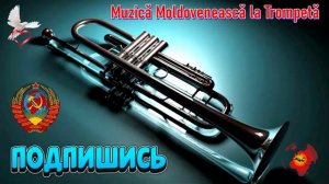 🔴 O oră De Muzică Moldovenească la Trompetă 🎺▶️ ♫♪♬♪🔥♫♪♬🎤🔊🎧🎼🎺