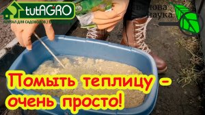 ТЕПЛИЦА ВЕСНОЙ: ЧЕМ и КАК ПОМЫТЬ ПОЛИКАРБОНАТНУЮ ТЕПЛИЦУ? Самый лучший способ подготовки теплицы.