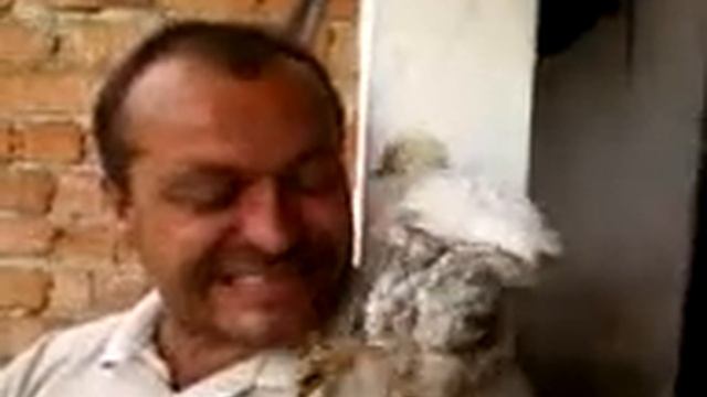 Зубочистка 3000!!! Мега ржач! Смотреть всем! смотреть онлайн