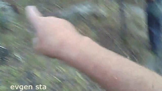 Так развлекались  гиганты