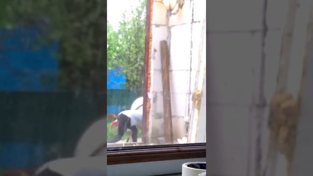 Беспредел! Хрупкая Таджикская девушка таскает бетон на равных с мужиками смотреть онлайн