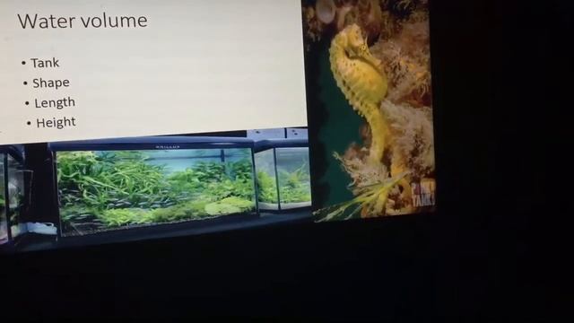 Paul Talbot - Breeding and Evolution seminar part 4 смотреть онлайн