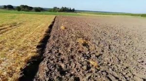 Углосним исправит кривий плуг,або навіщо приблуда