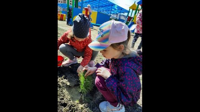 Акция Посади свое дерево