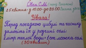 Самые Лучшие Дни Для Посадки Лука и Чеснока В Апреле 2025 года!