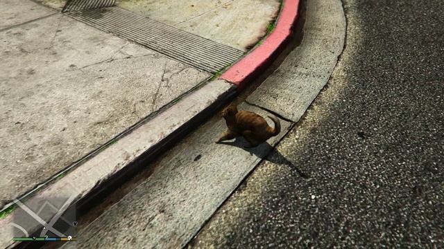GTA V Глупый кот :I смотреть онлайн