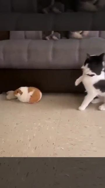 Защитник года