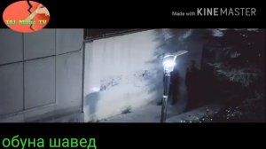 Мехроби хастасадо