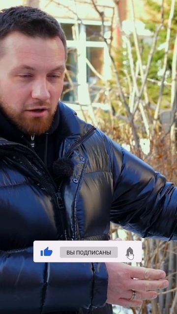 #опрыскиватель STIHL ШТИЛЬ #shorts смотреть онлайн