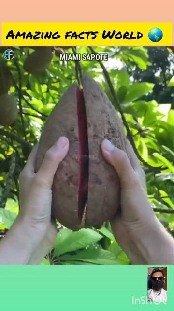 😱😈ऐसी चीज कभी आपने नहीं देखी होगी||#amazing facts World 🌎||#shorts #viral #cute