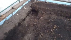 Теплая грядка для огурцов в теплице