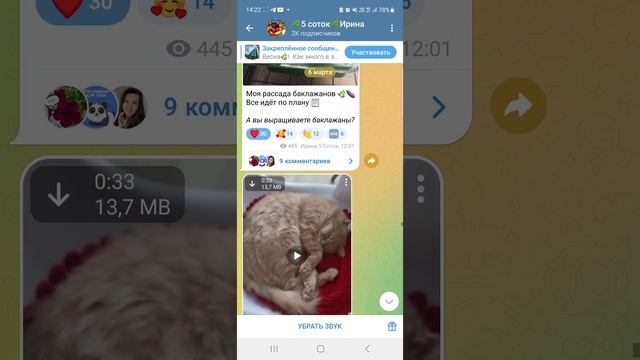 Информация полезная ВСЕМ! смотреть онлайн