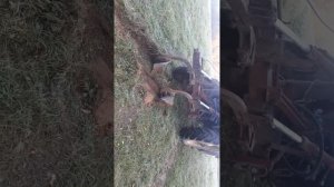 настройка гсв