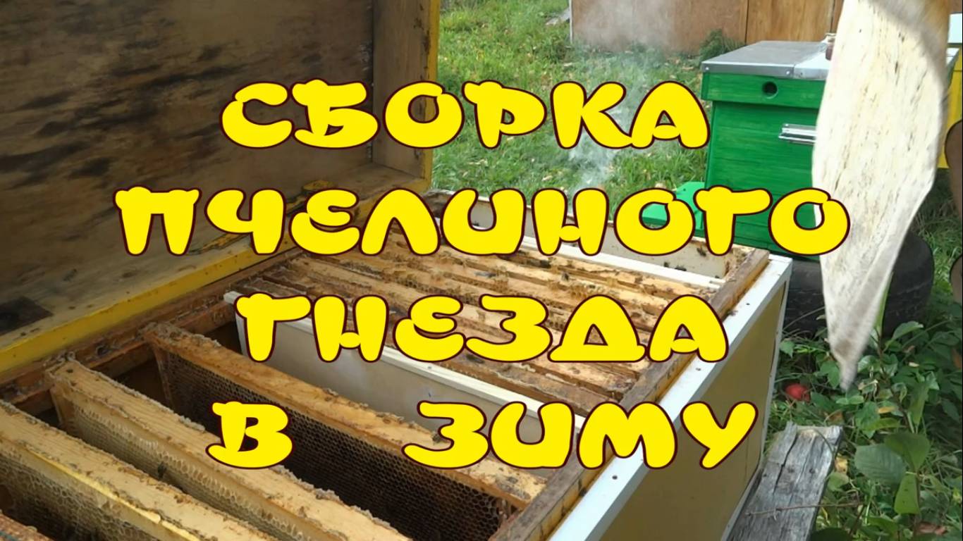 СБОРКА ПЧЕЛИНОГО ГНЕЗДА В ЗИМУ. КАК СОБРАТЬ ПЧЁЛ В ЗИМУ смотреть онлайн