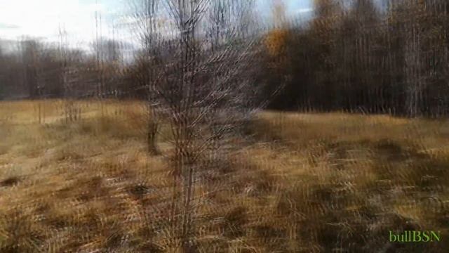 Охотничьи зарисовки часть 2 смотреть онлайн