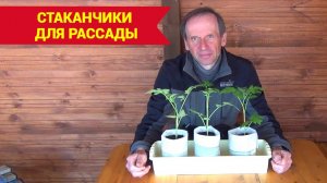 КАК СДЕЛАТЬ СТАКАНЧИКИ для РАССАДЫ СВОИМИ РУКАМИ.