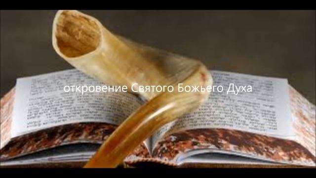 пребывать в теле Его  26.05.21   18:13