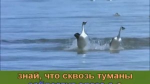 Как то получилось, что сошлись дороги |  христианские песни  |  караоке