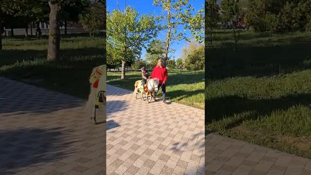 10.05.22 Севастополь. Парк Победы смотреть онлайн