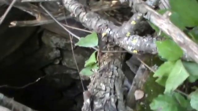 Колодец в Тубянском лесу. смотреть онлайн