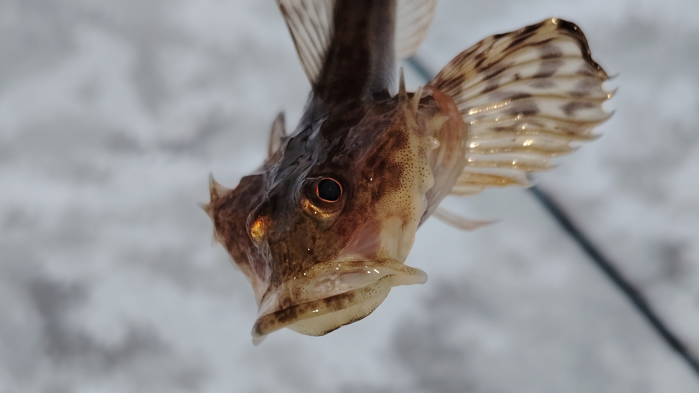 15-03-2025 смотреть онлайн