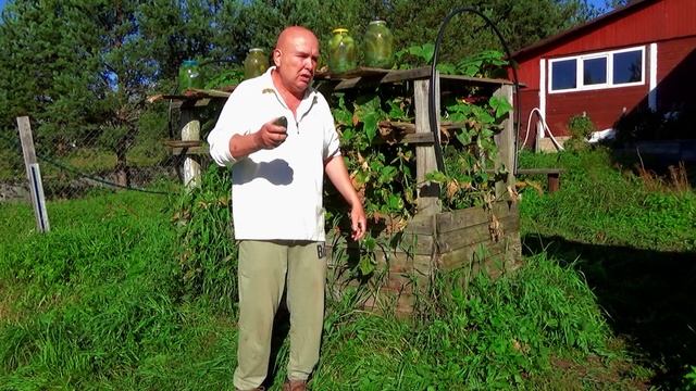 Засол огурцов по селигерски.С этим справиться даже школьник