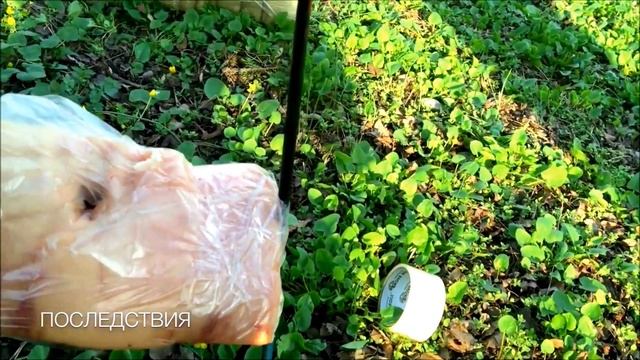 Тест охотничьих наконечников для лука и арбалета www.archery161.ru смотреть онлайн