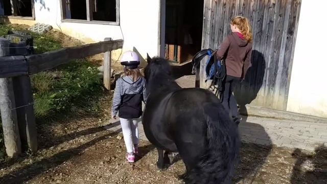 Школа пони .Дети и пони. Дети и животные. Пони тоже кони. Катание на пони смотреть онлайн