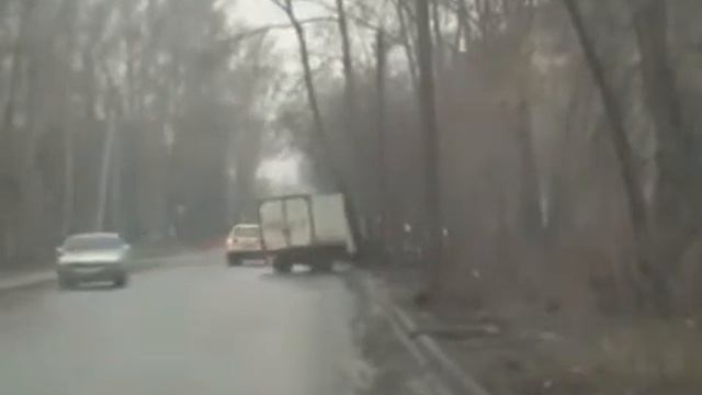 Газели умеют пугаться смотреть онлайн