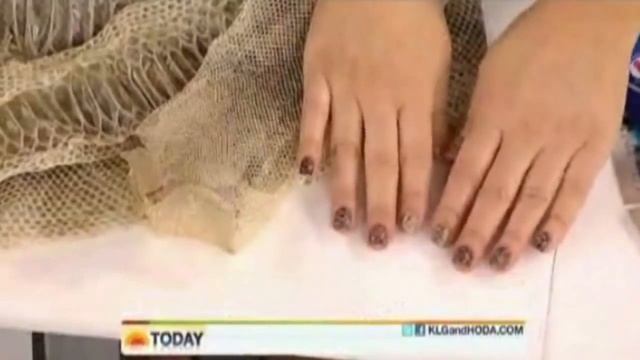 Bio Sculpture Gel Snakeskin Nails LIVE on the TODAY show -- May 16 2011 смотреть онлайн