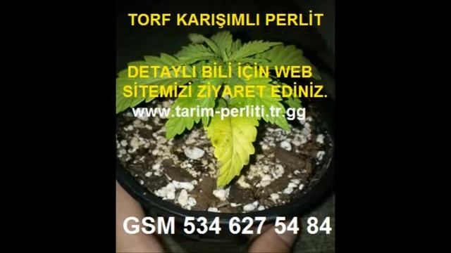 TARIM PERLİTİ,SERA PERLİTİ,TARIM SERA PERLİTİ,PERLİT FİYATI,TARIM PERLİTİ,TARIM PERLİTİ FİYATI, смотреть онлайн