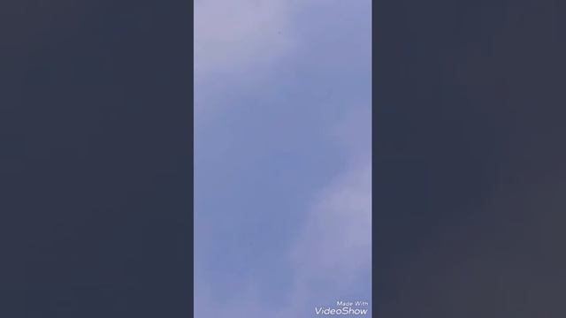 НИКОЛАЕВСКАЯ ПТИЦА "" НЕ БОЛЬШОЙ ПОДЬЕМ "" смотреть онлайн