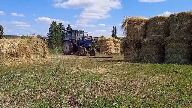 Завершение сенокоса. Укладка рулонов сена. смотреть онлайн