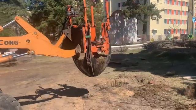 Пересадка аллеи «Пчёлки Майя» около онкодиспансера в Чите смотреть онлайн