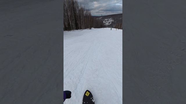Губаха 15/03/2025 смотреть онлайн