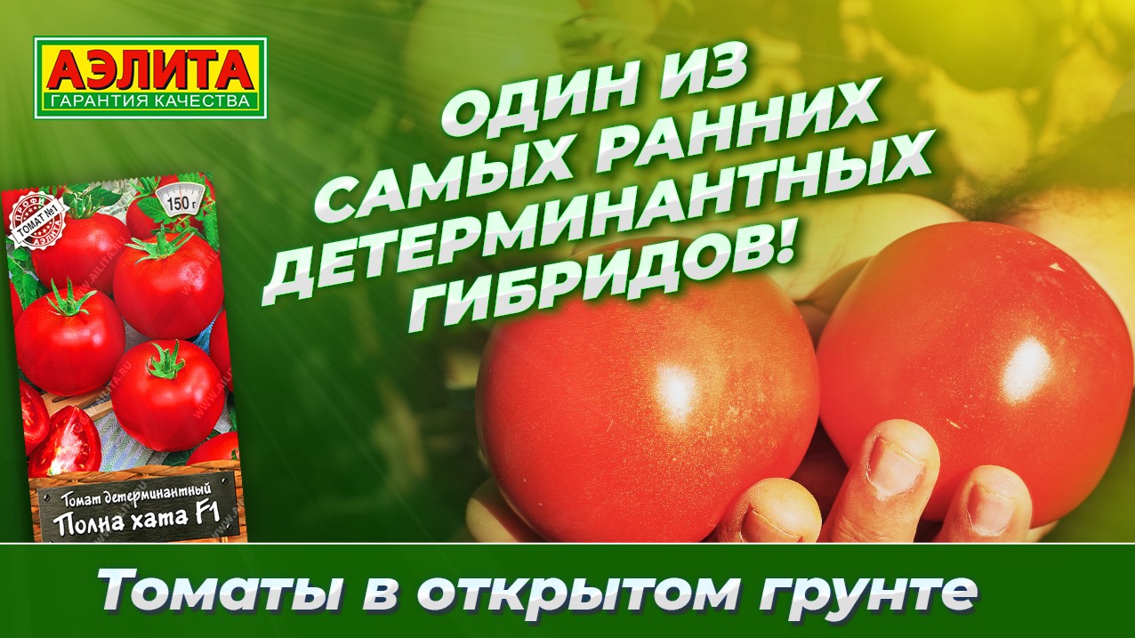 Ранний детерминантный томат ПОЛНА ХАТА F1 в ОТКРЫТОМ ГРУНТЕ смотреть онлайн