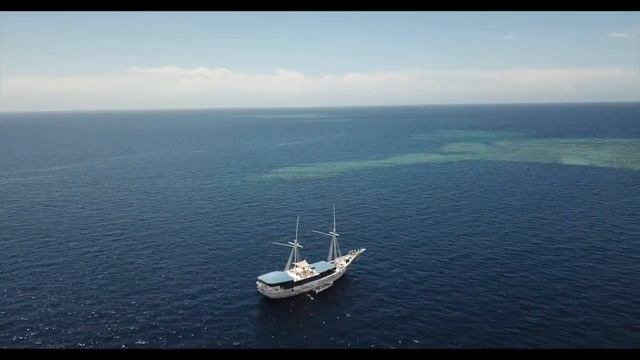 Tonga & Fiji Diving смотреть онлайн