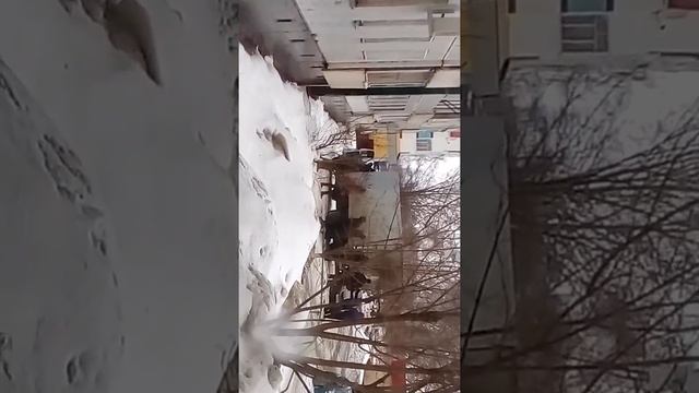 Это. У миня. В водворе газель. :-) смотреть онлайн