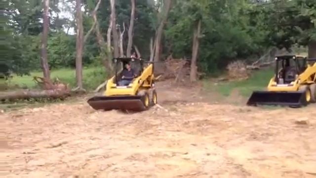 Cat 262
