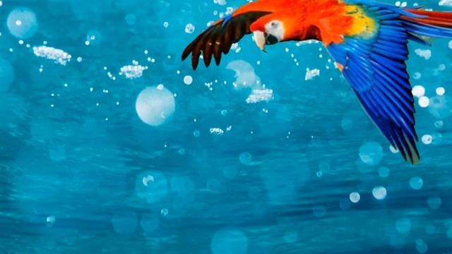 icthyosaurs - documentary смотреть онлайн