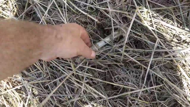 NO-TILL посів соняшника ПІОНЕР 108. смотреть онлайн