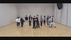 HOSHI X WOOZI -  96ers Dance Practice MIRRORED